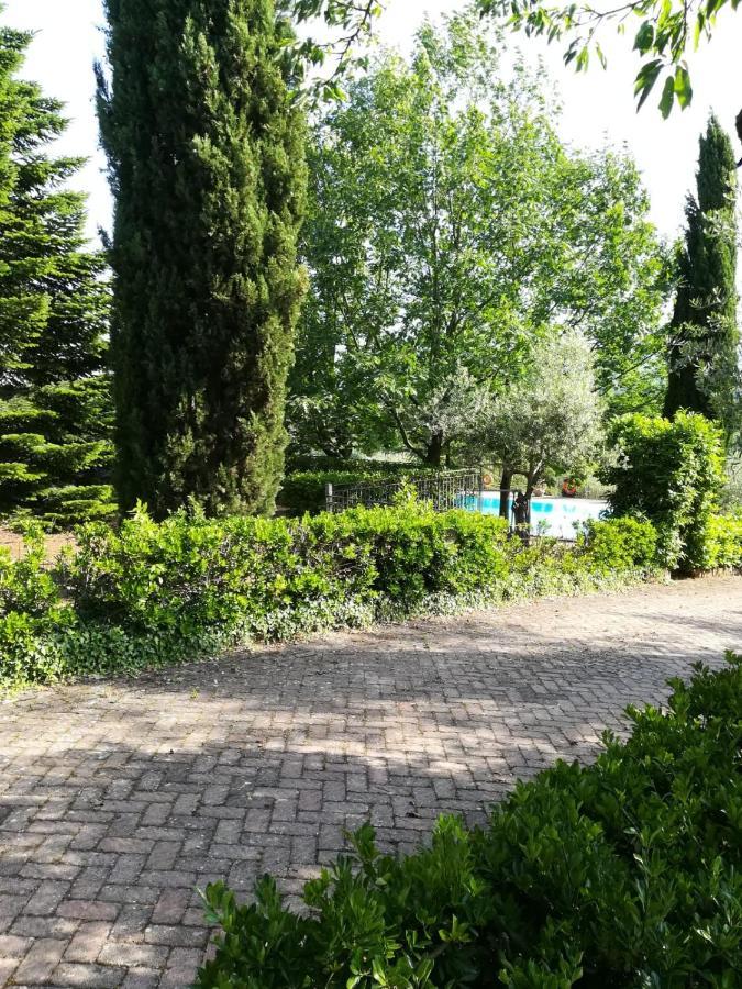 La Terrazza Su Roma Bed & Breakfast Zagarolo Luaran gambar